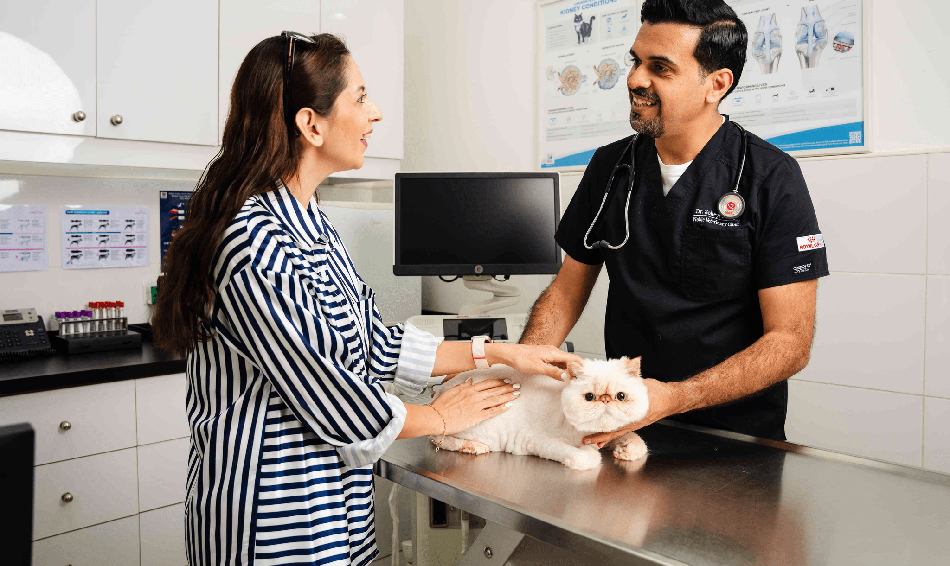 A veterinarian is talking to a pet owner about her cat's deworming schedule.