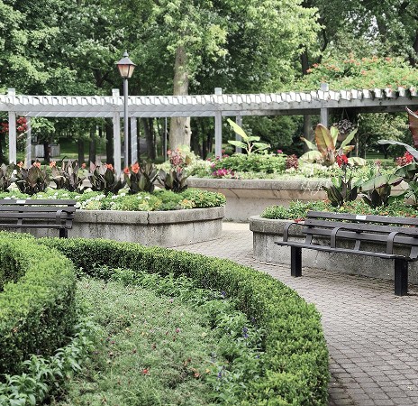 garden