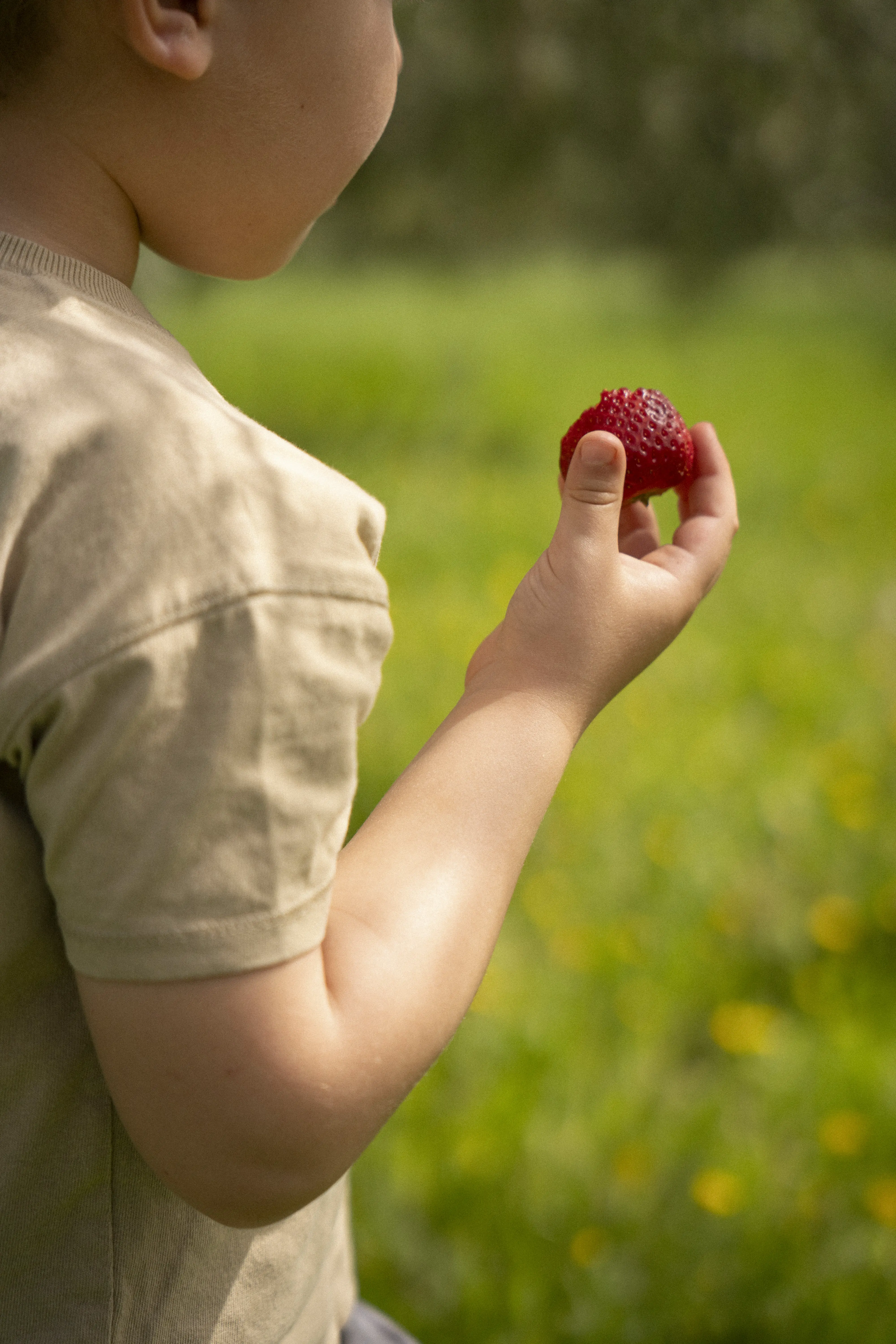 niño sujetando una fresa en el campo