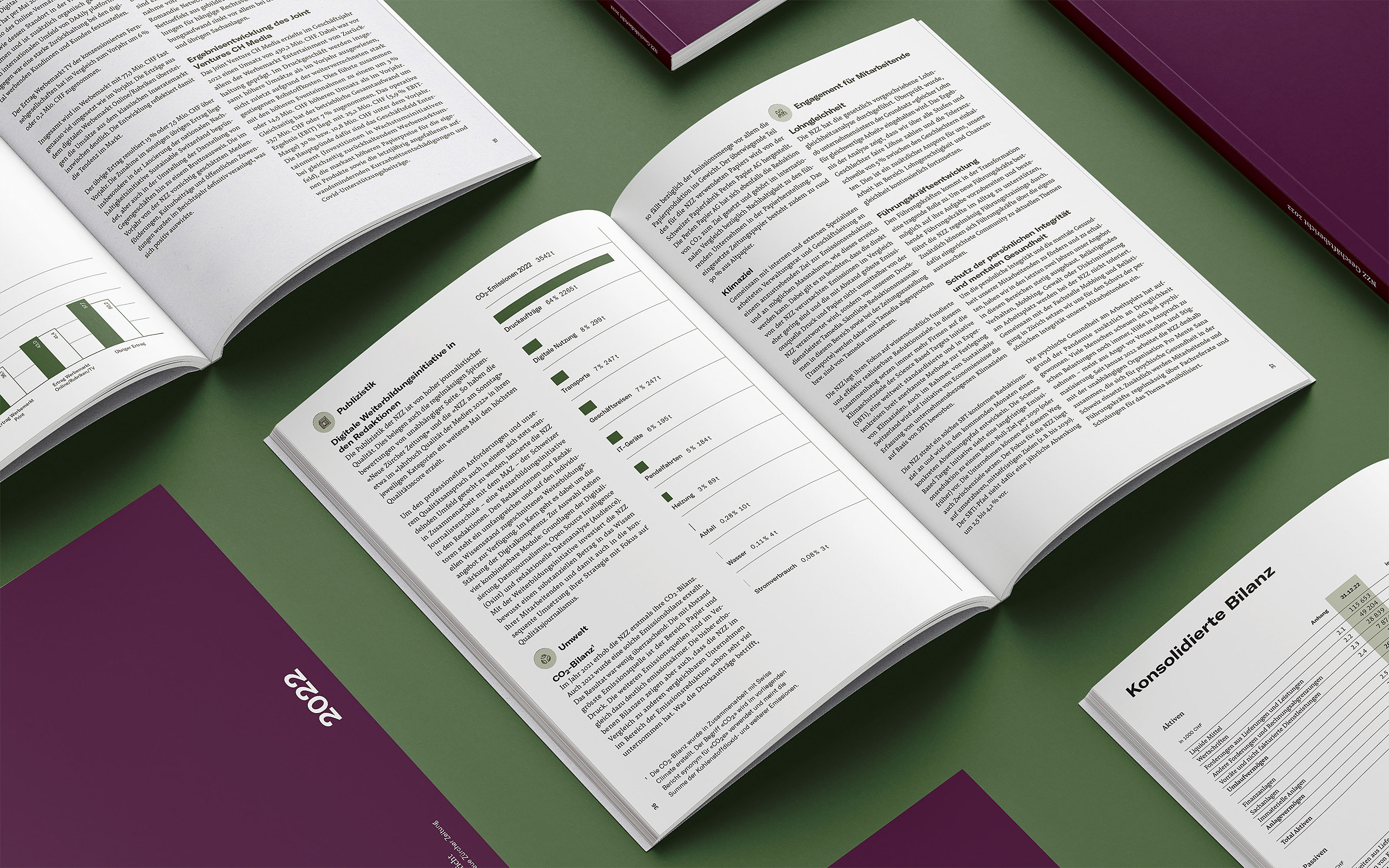 Mehrere Berichte sind aufgeschlagen und geschlossen nebeneinander ausgelegt. Verschiedene Layouts sind zu sehen.