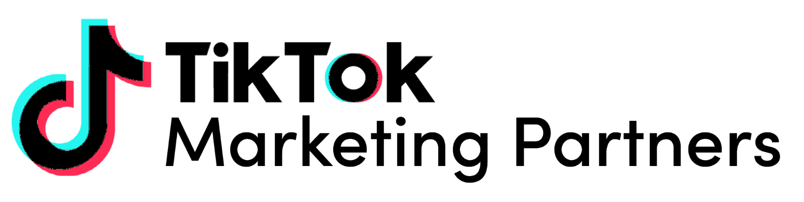 TikTok Marketing Partners