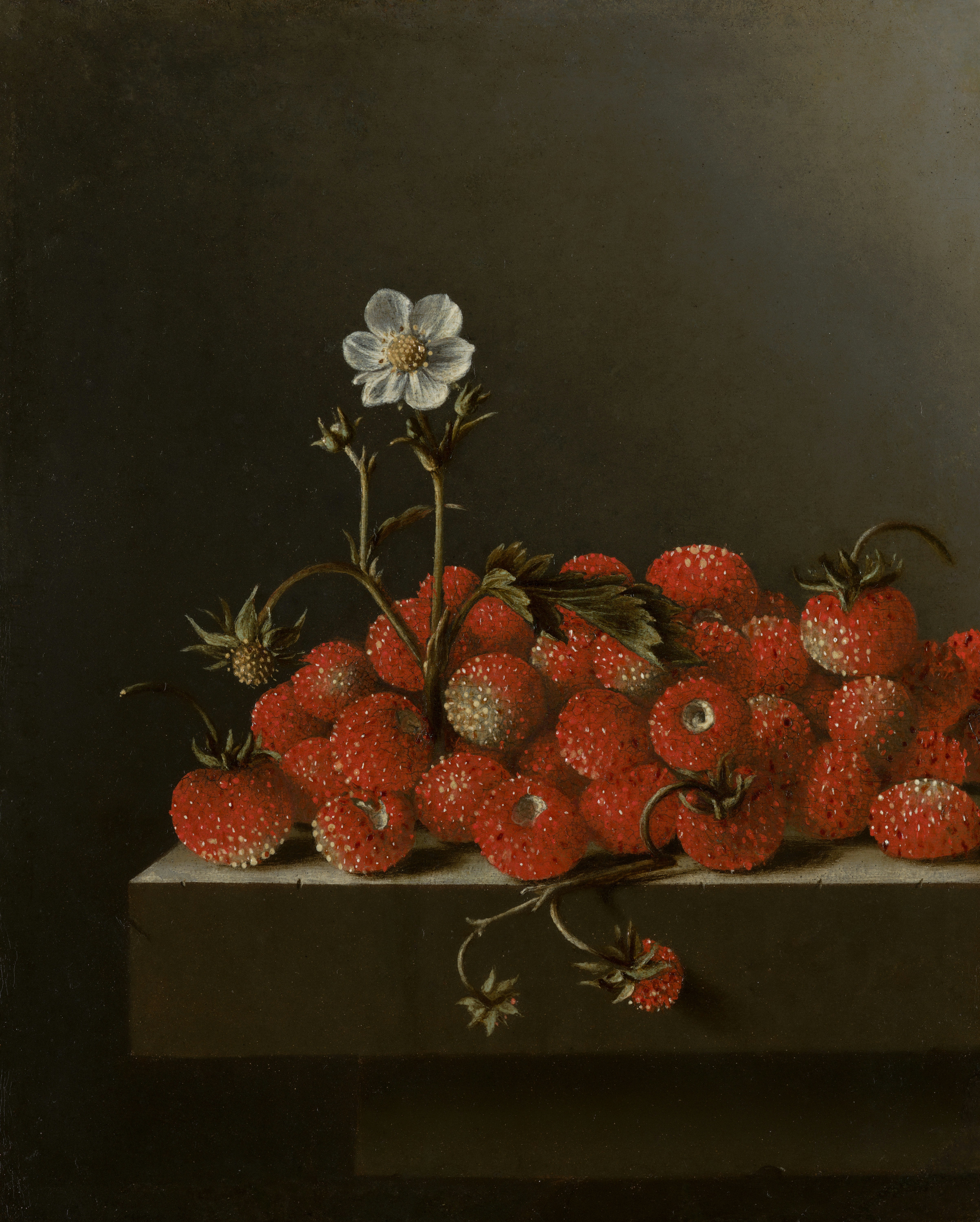 A pile of ripe strawberries with a single white flower.