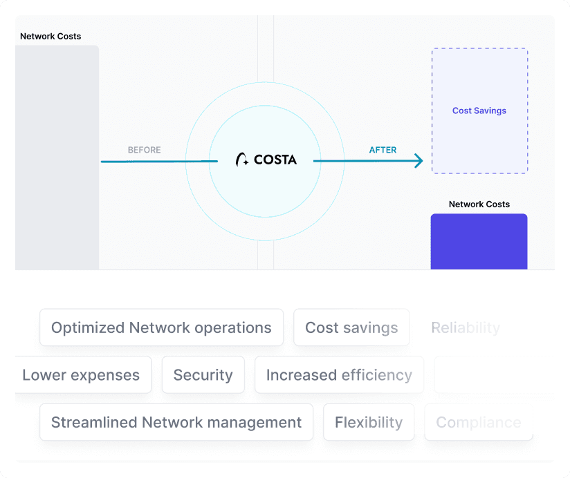 Costa interface feature Cloud Network Observability