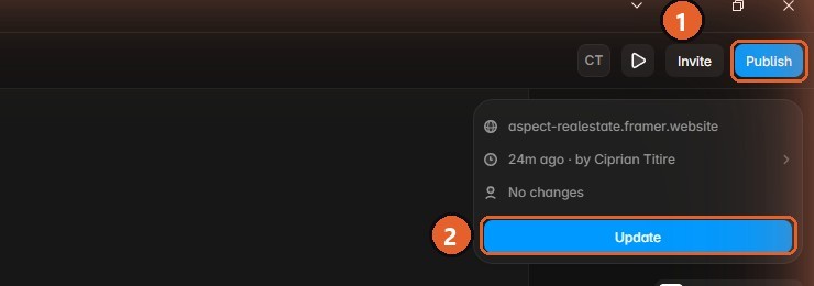 The Publish button and its Update panel