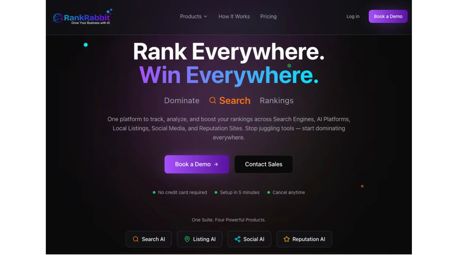 RankRabbit AI ranking tool featuring the tagline Rank Everywhere, Win Everywhere.