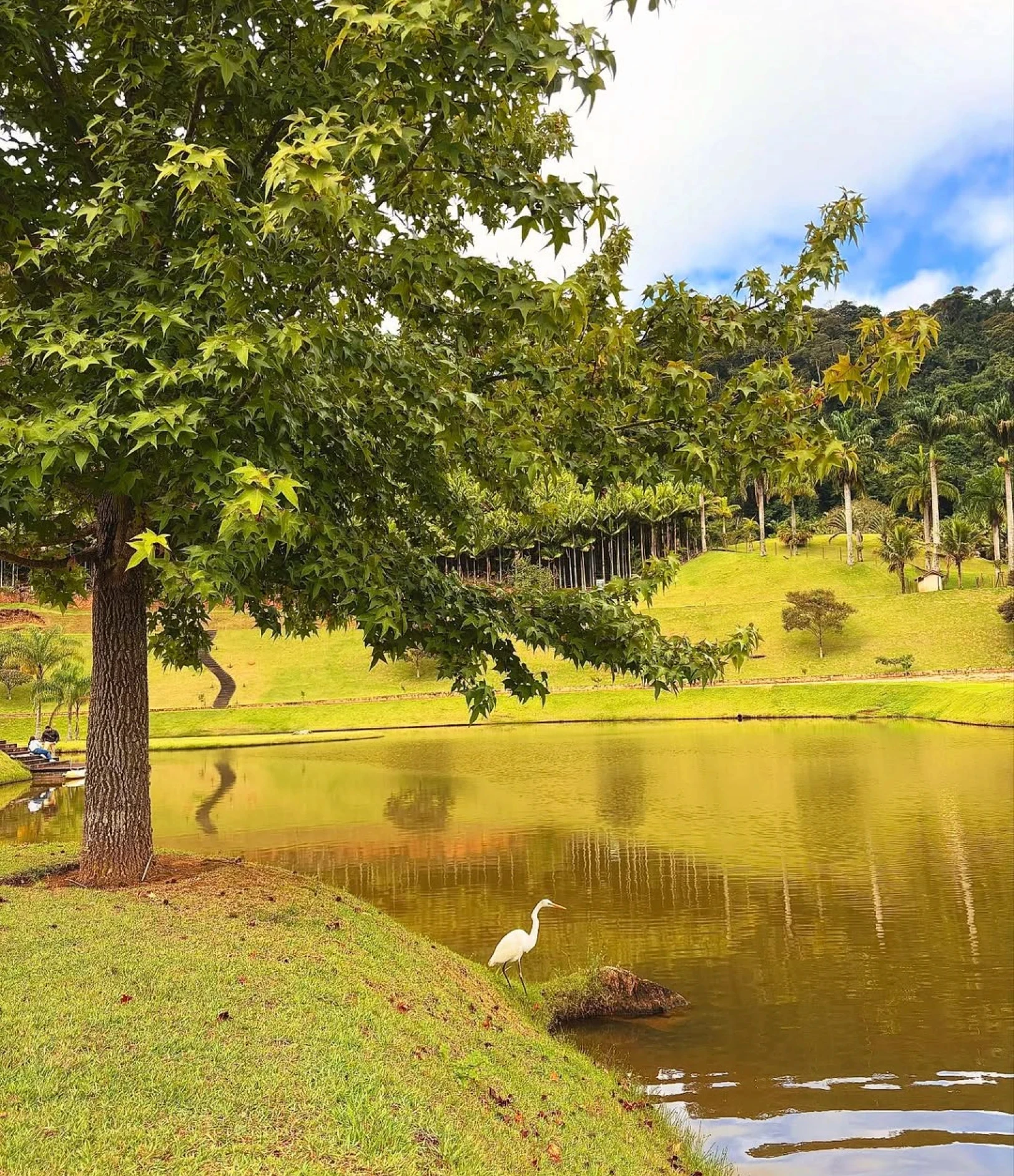 Lago com pedalinho da Pousada Bela Aurora