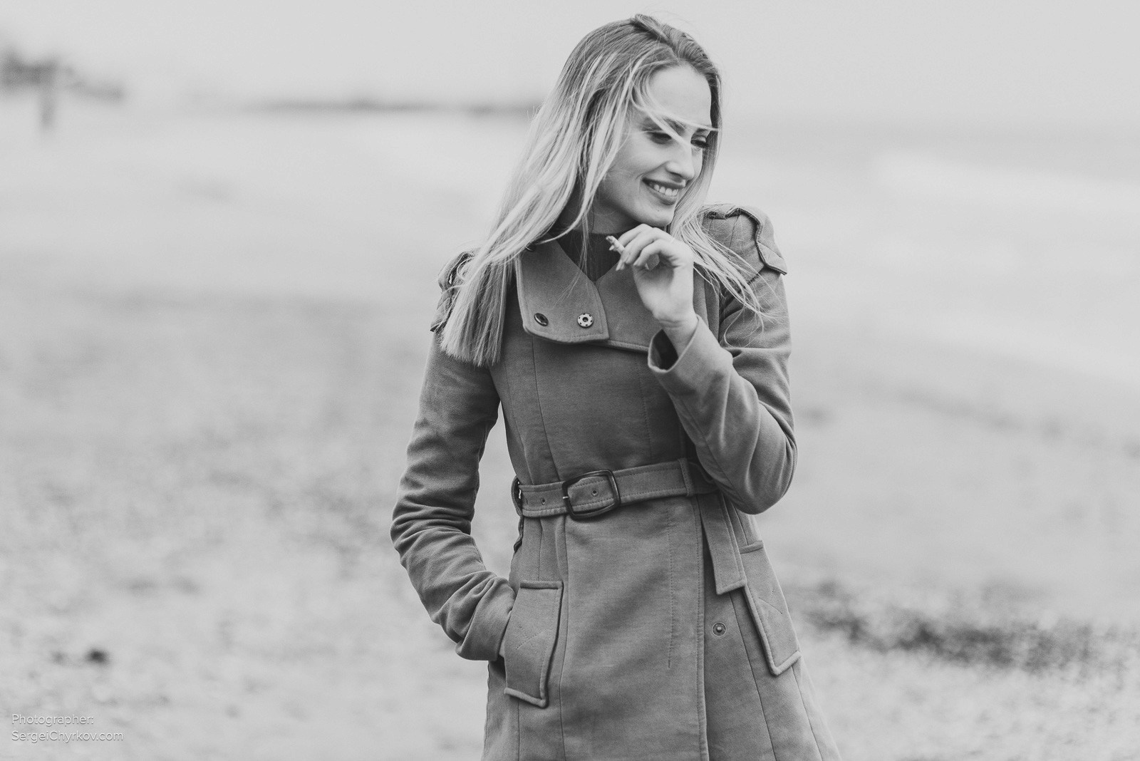 Seagulls by Sergei Chyrkov