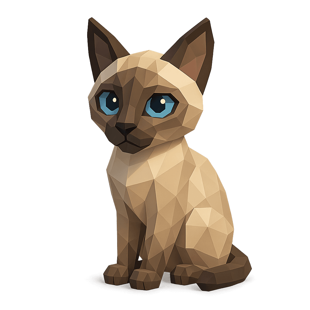 Asian Shorthair