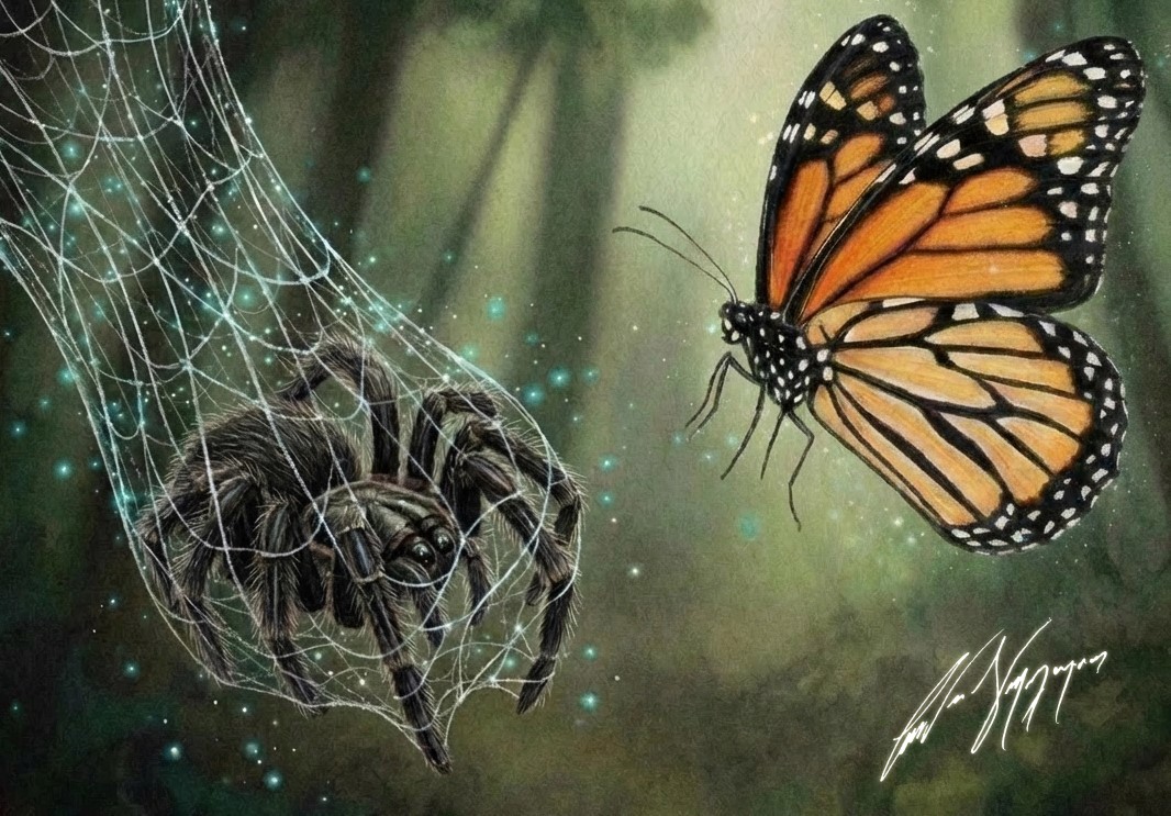 The Butterfly's Web