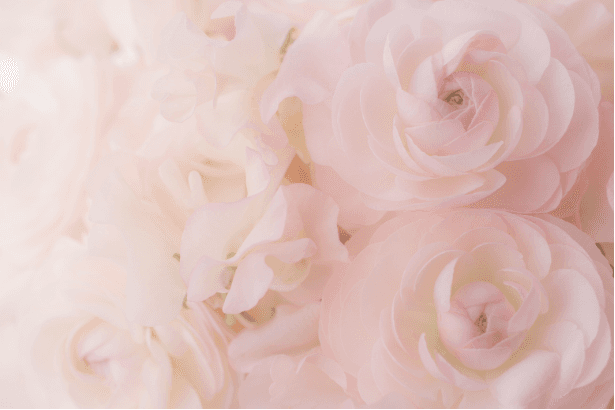 beauty model applying a serum