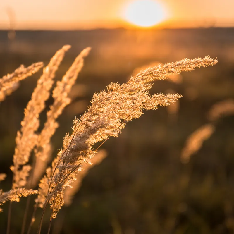 Fókuszban a fenntarthatóság