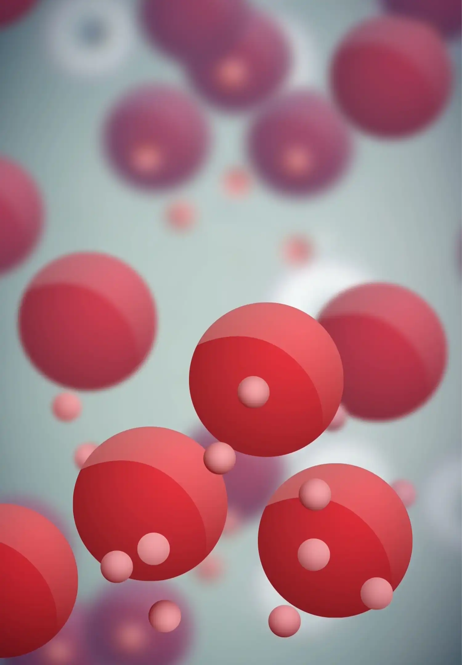 2D animated blood cells for medical video