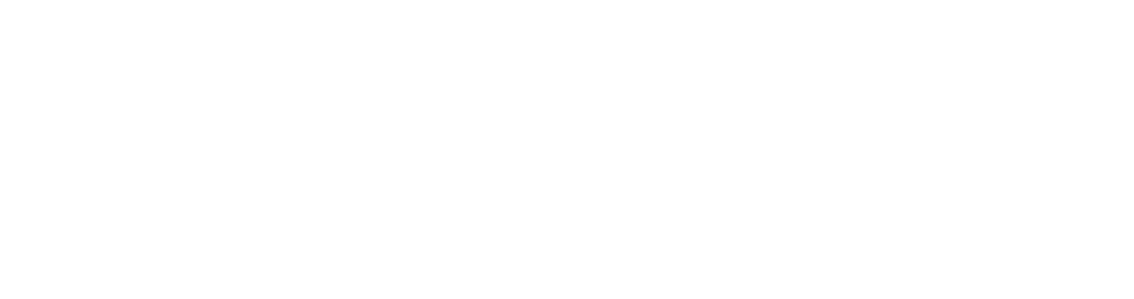 Icon (Background Removed)