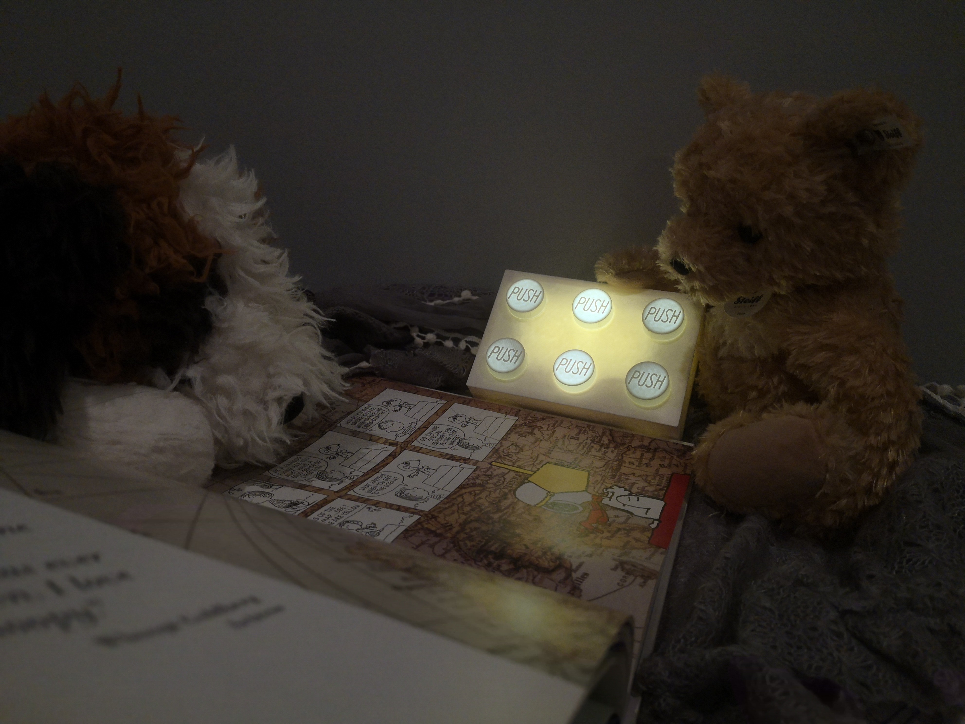 White branded cap with turquoise logo placed on fresh lemons in a red bowl