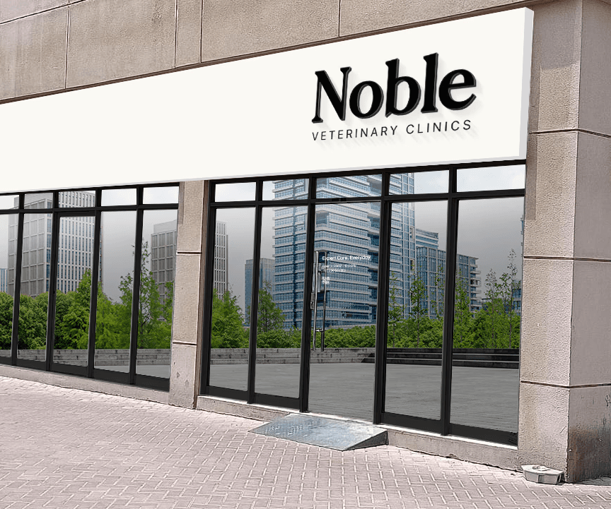 The front of Noble Veterinary Clinic in JLT with silhouettes of animals on the windows, sunny day. The window sign reads "Surgery, Dentistry, Microchipping, Ultrasound.