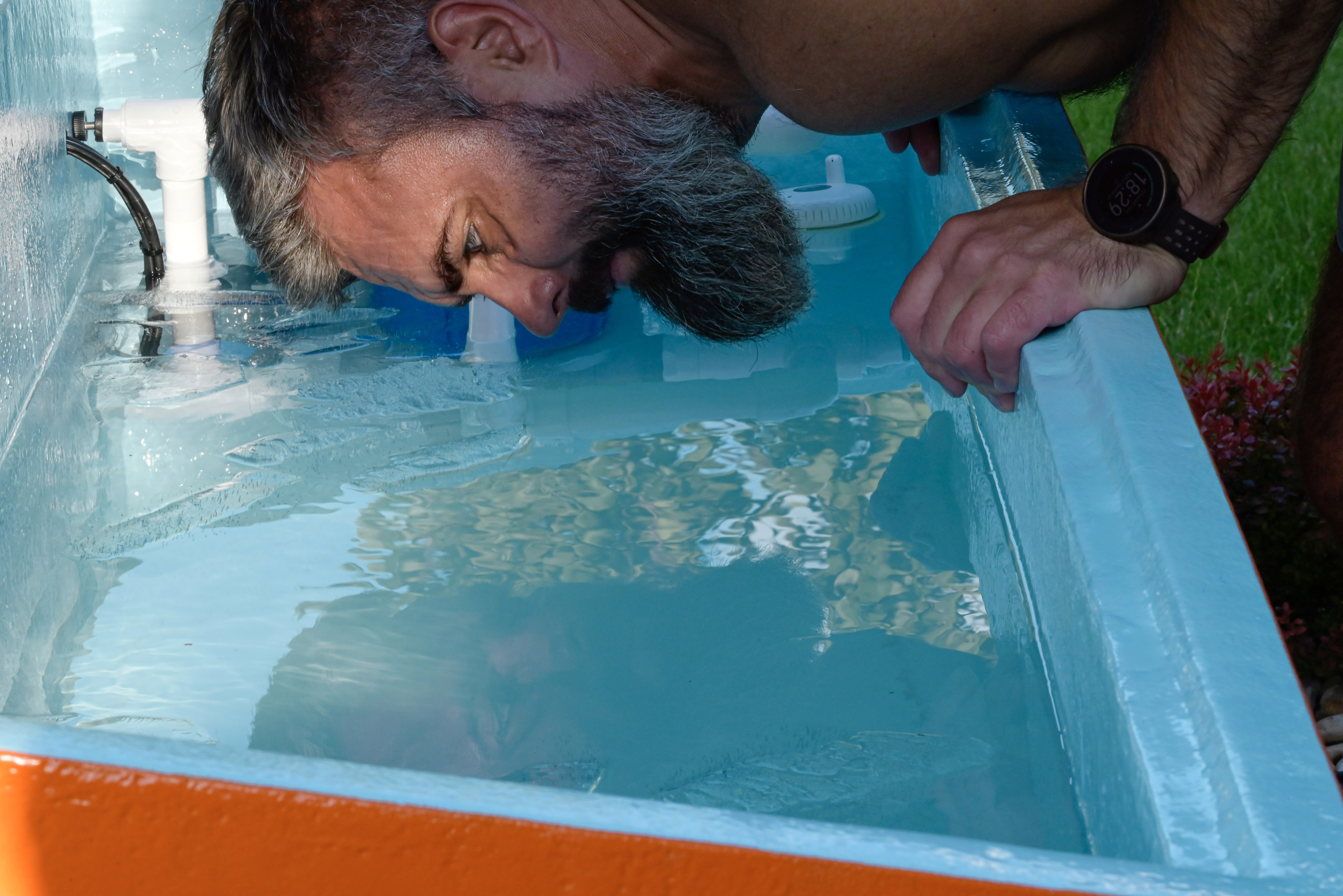 konrad derlatka morsujacy w frostyspa