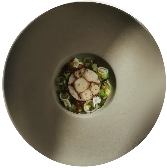 Gourmet Scallop Dish