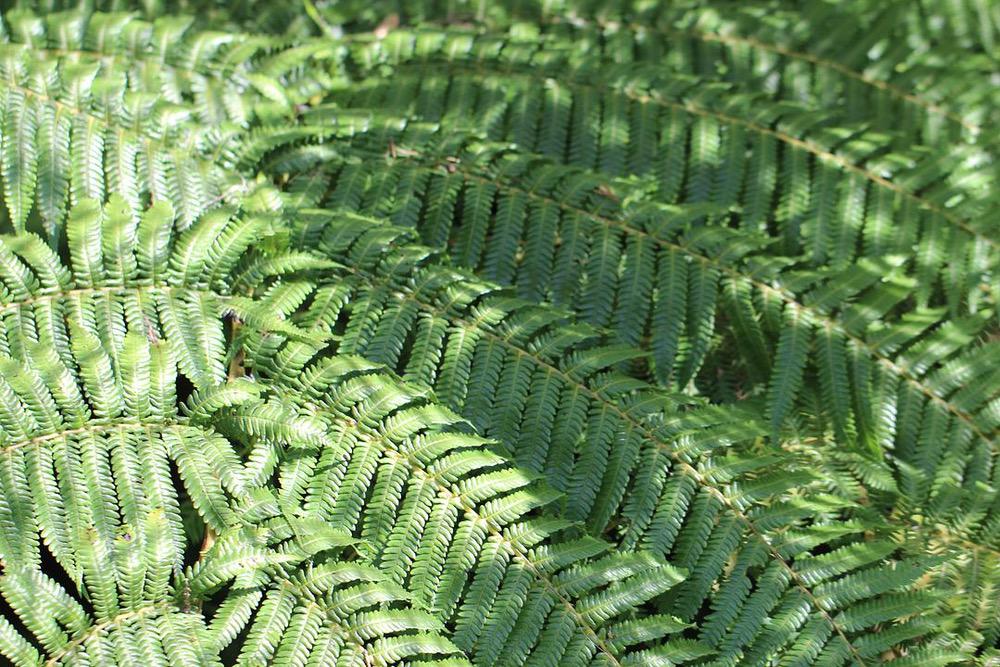 a black and white cat laying on top of a white wall