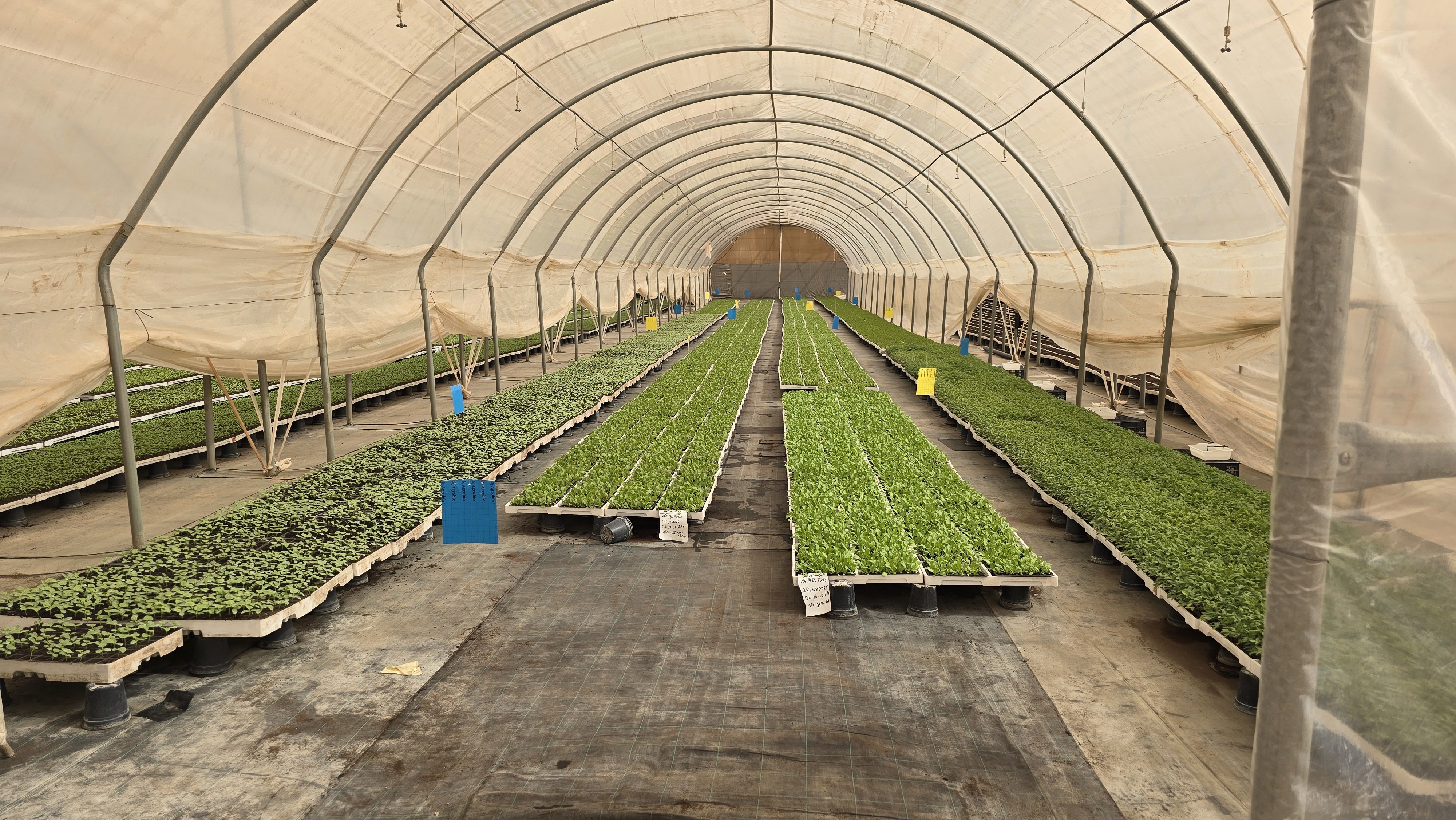 Nexus Flow greenhouse Cultivation Systems