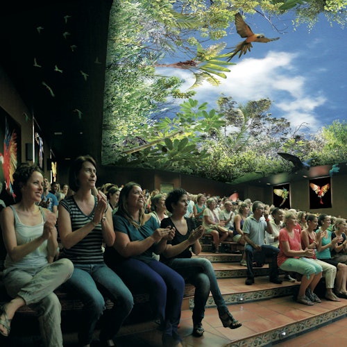 Diváci tleskají v divadle se stropem a stěnami vyzdobenými tak, aby připomínaly bujný les s ptáky a listovím.