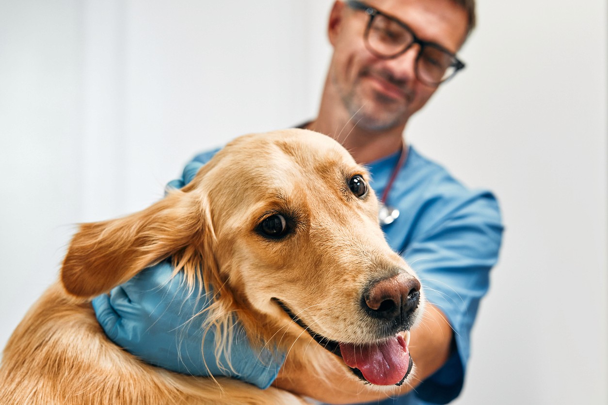 Vet hugging a dog