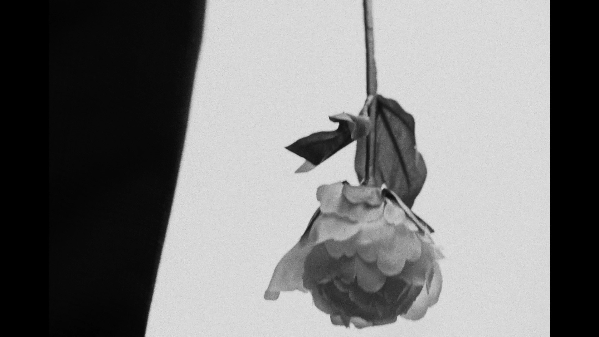 Sam Coombes DOP - Unjust Sweet Sixteen Still Image 3