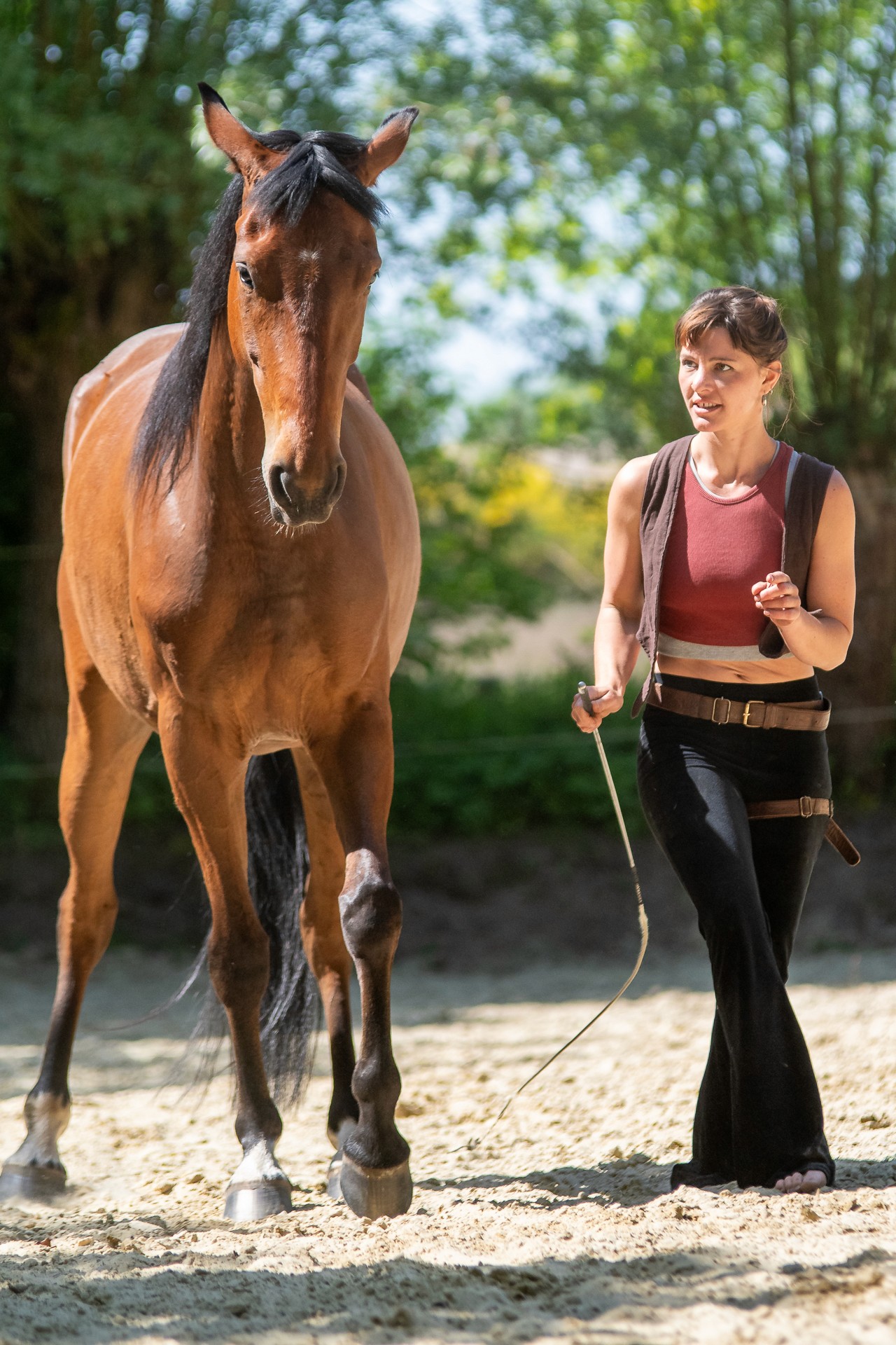 Zoe führt ein Pferd