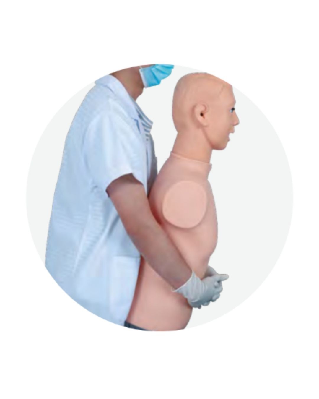 Basic Adult CPR & Obstruction Manikin