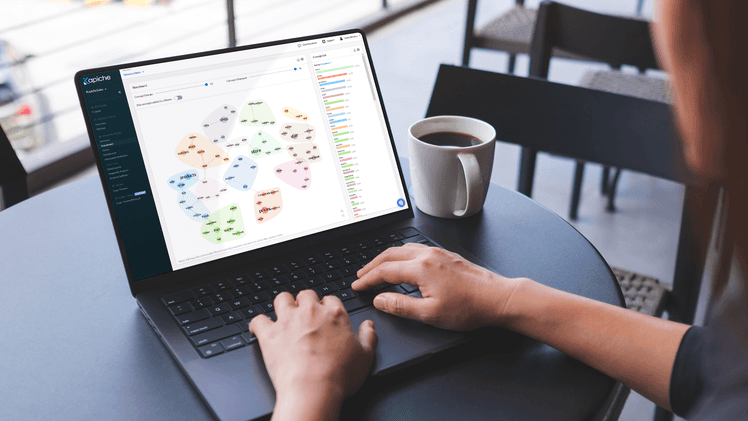 survey report Kapiche
