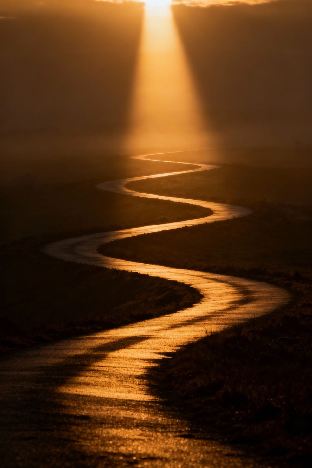 Professional woman smiling in a suit