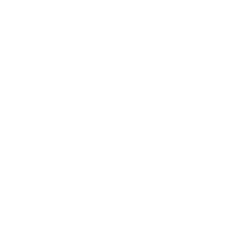 EU Logo
