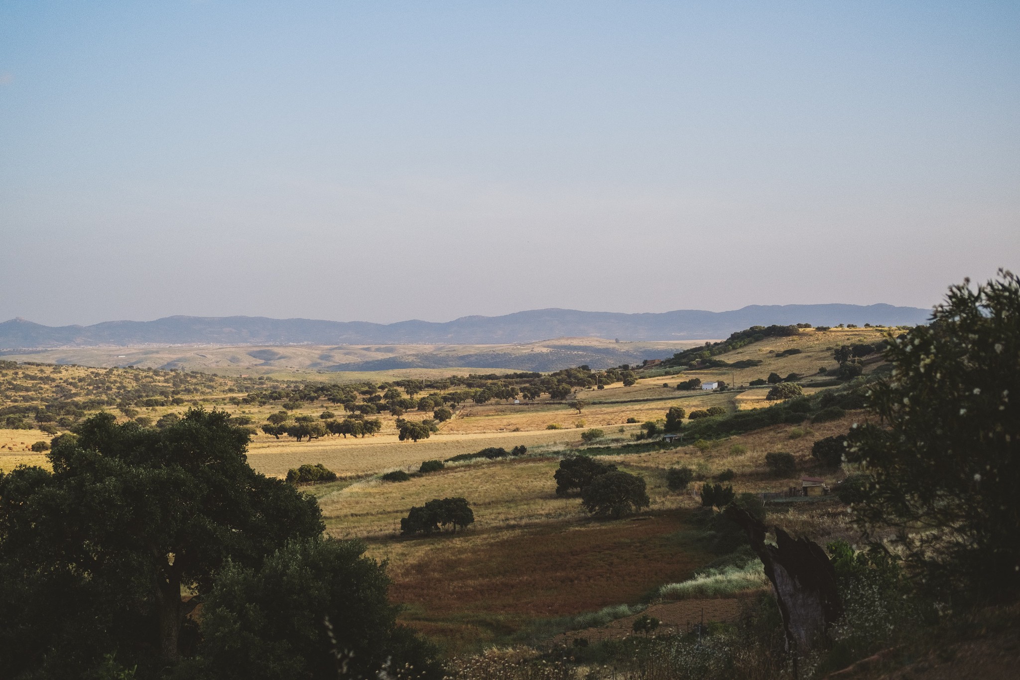 Clean kitchen with wooden flooring