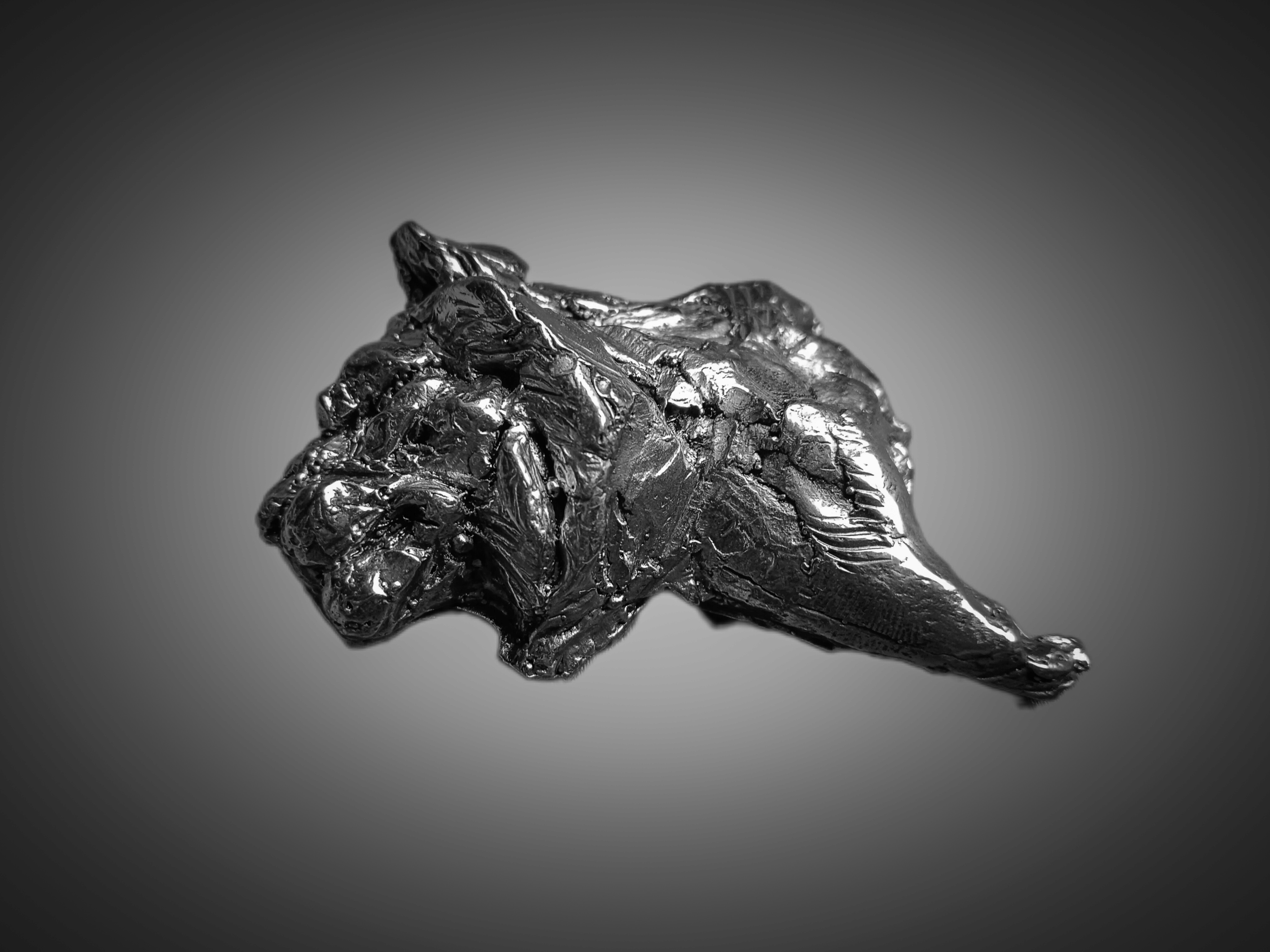 Handcrafted impressionistic Bronze Tiger Brooch wearable sculpture from wearables collection by sculptor Priyam Tiwari