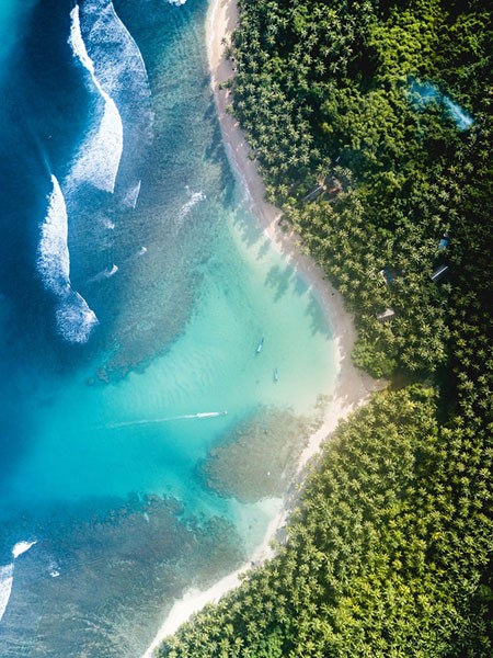 Neighborhood's highlights