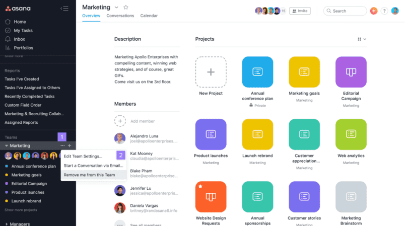 Asana project management