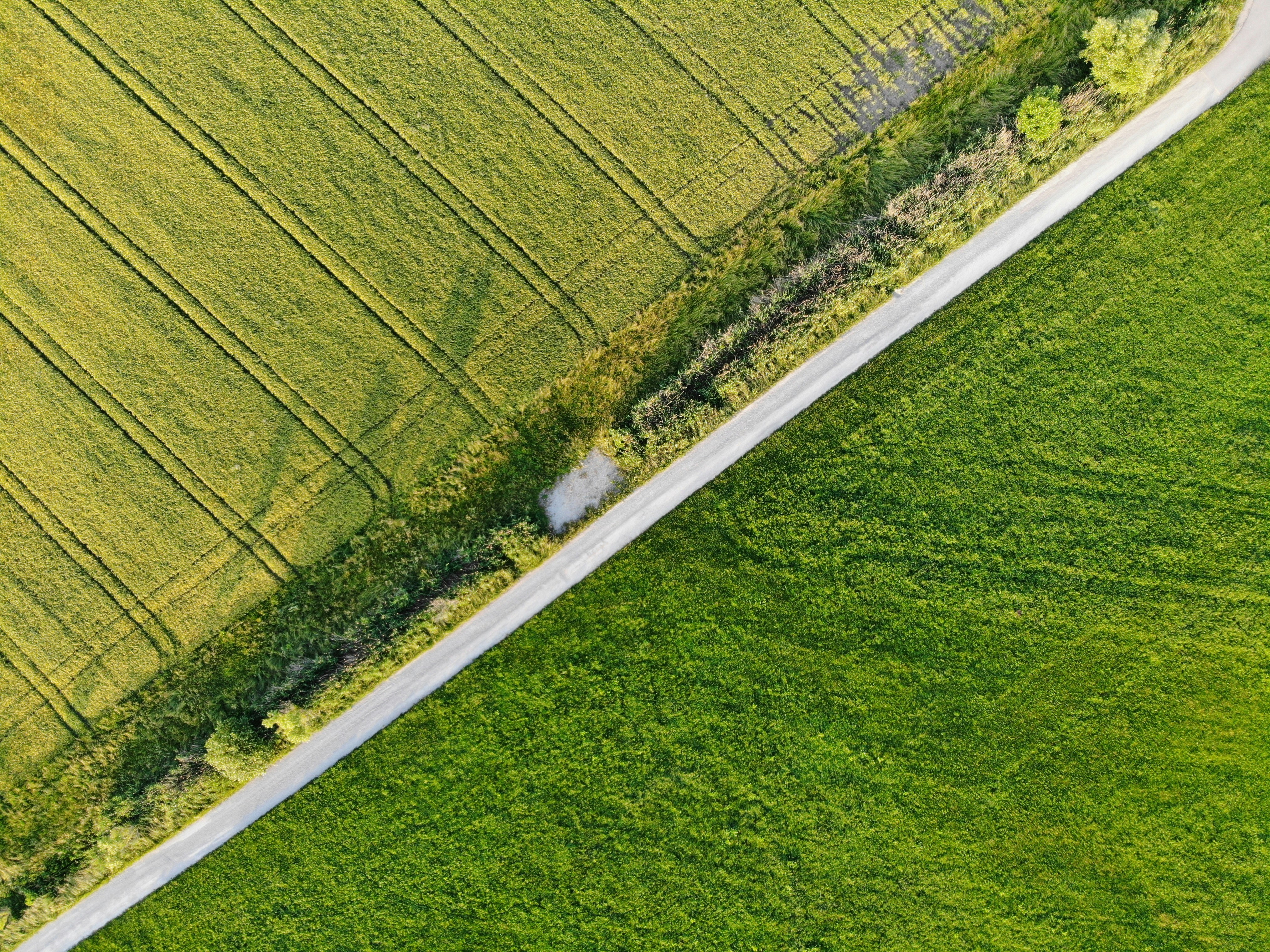 green open field view during daytime