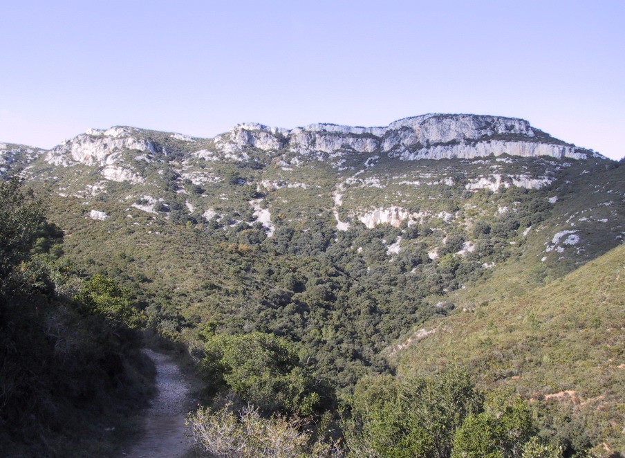 Mata-redona, Serra del Montsià - Autoria: Wikimedia Upload