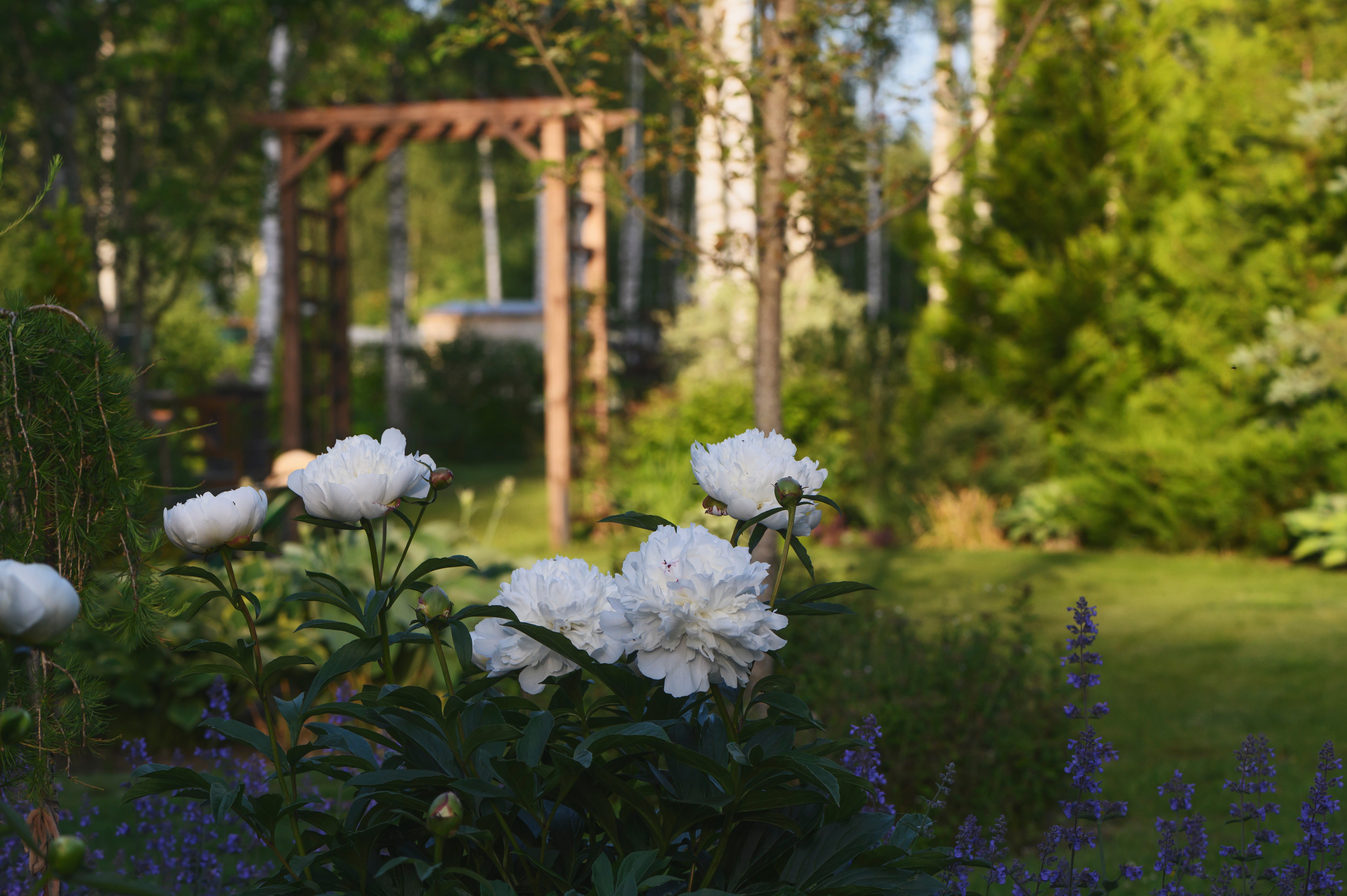 paysagiste de confiance à Besançon et alentours