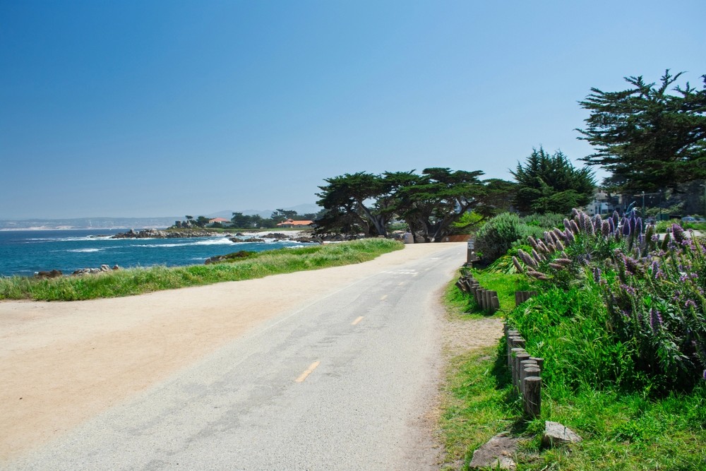 View of Monterey Bay Coastal Trail on a sunny day