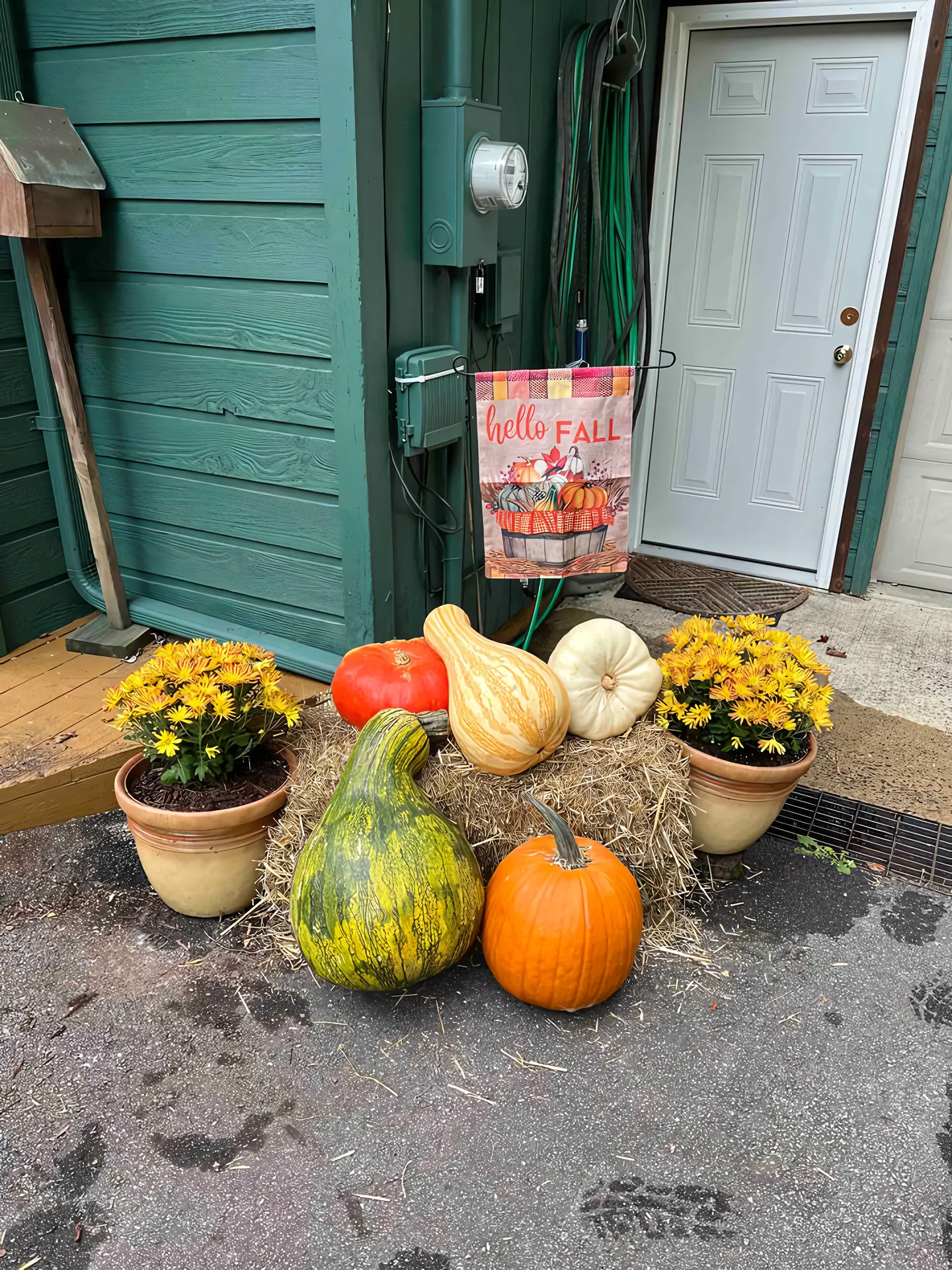 Pumpkins, gourds and mums at the Bella Vita door in fall
