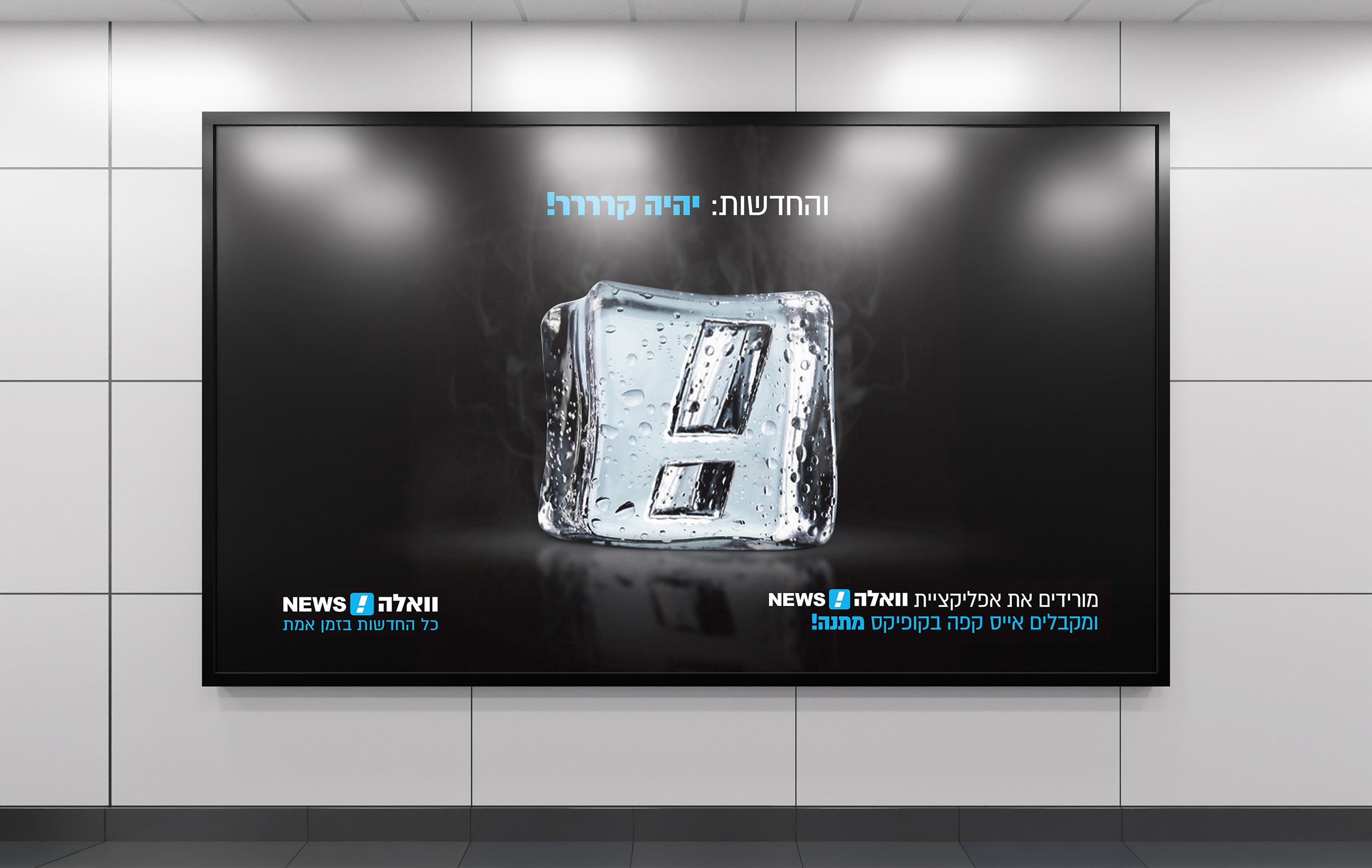 Large Project Gallery Image #4