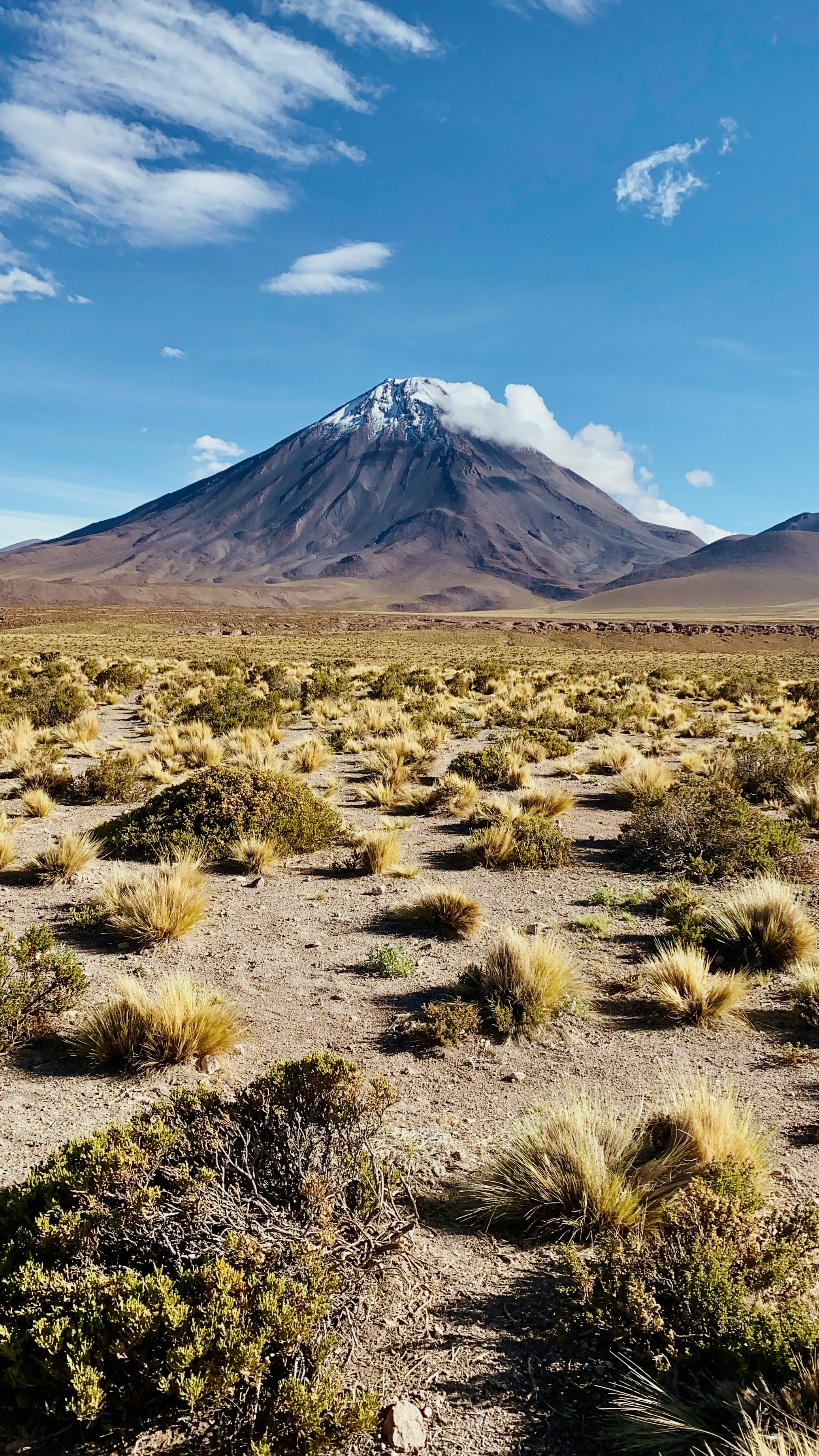 green grass field near mountain during daytime