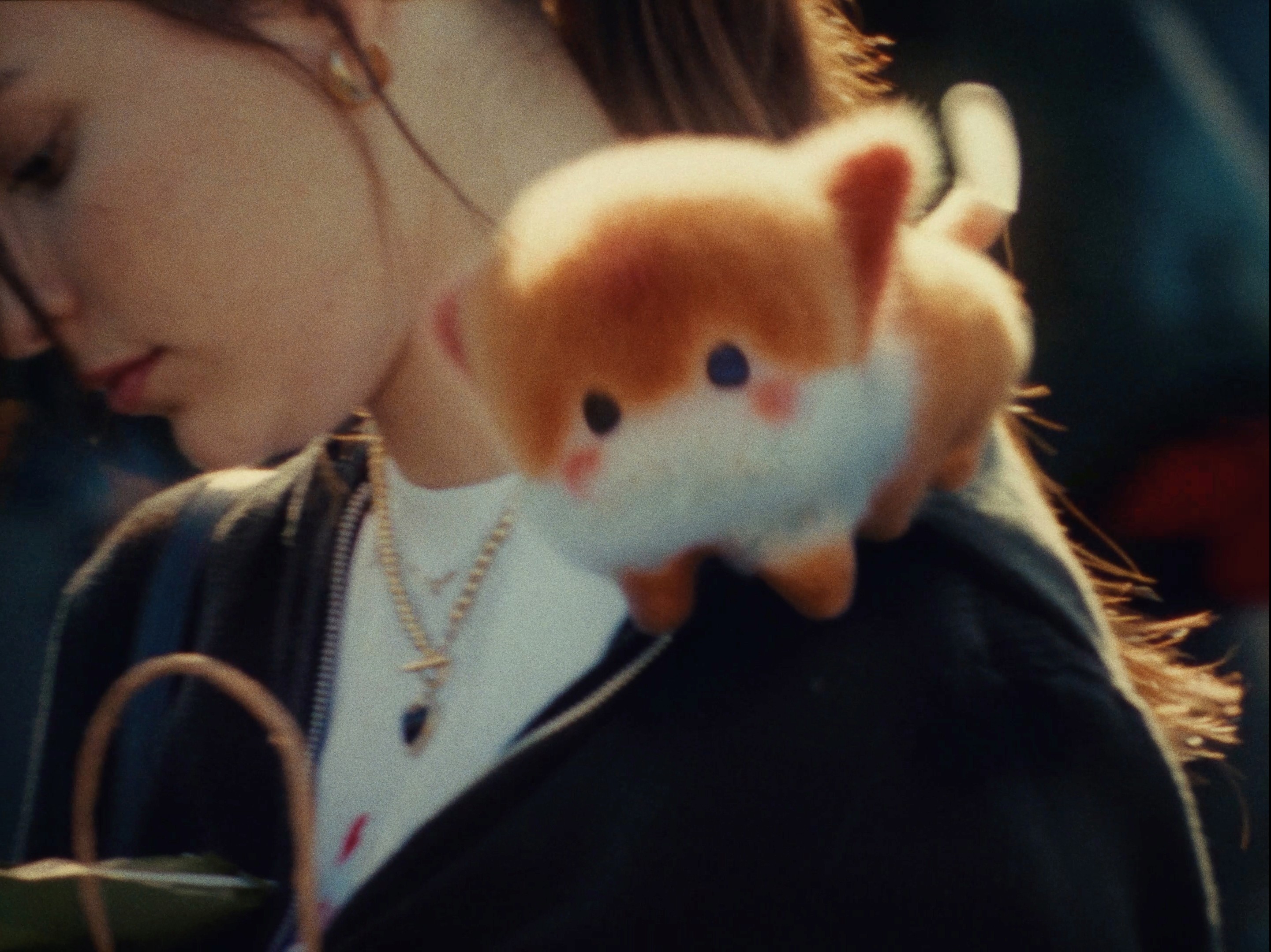 Blinkko shoulder pet device worn by user outdoors