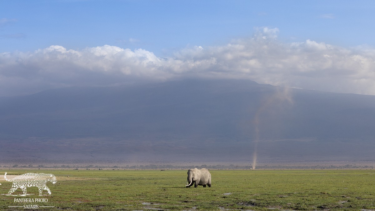 Amboseli Trip Report