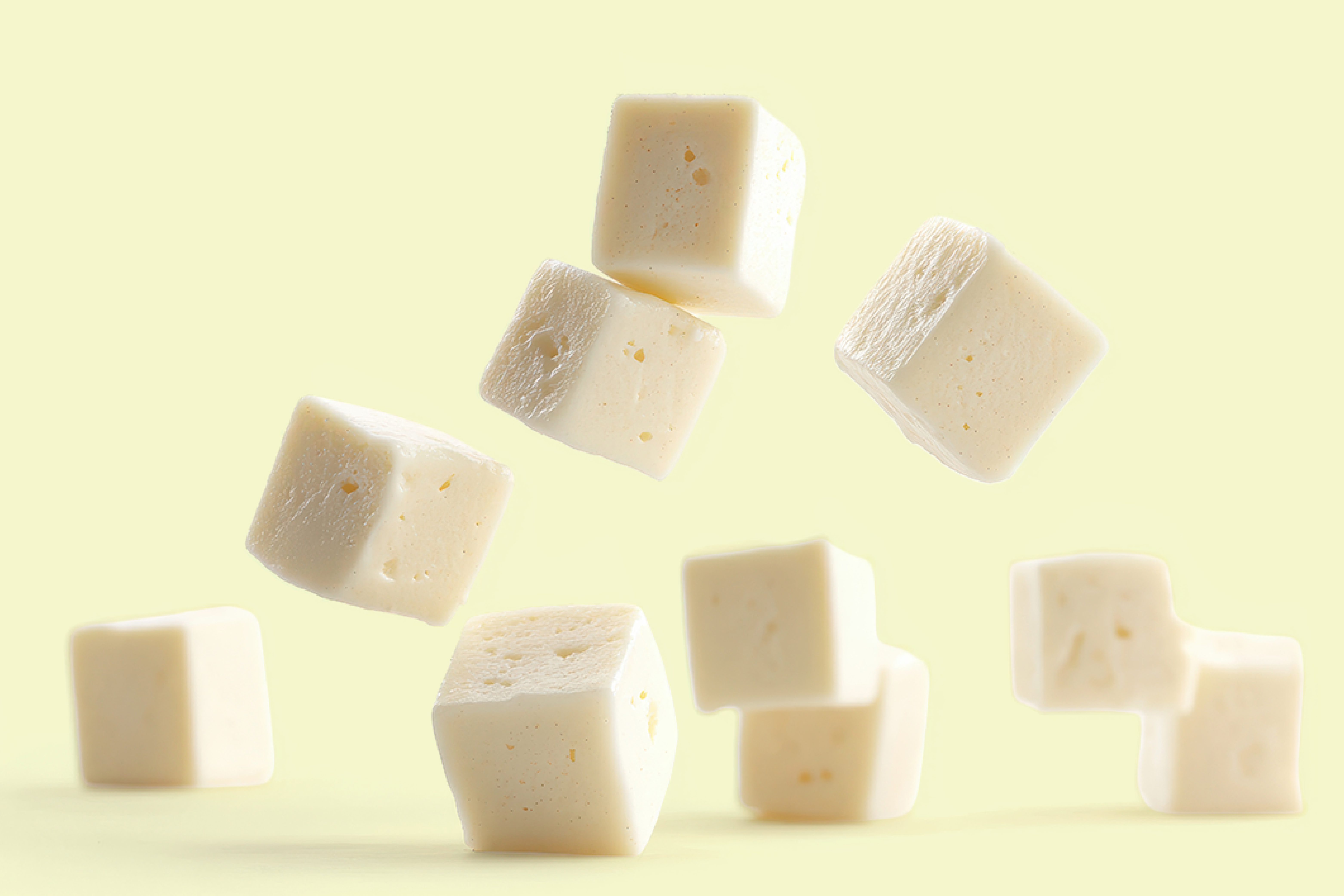 Paneer