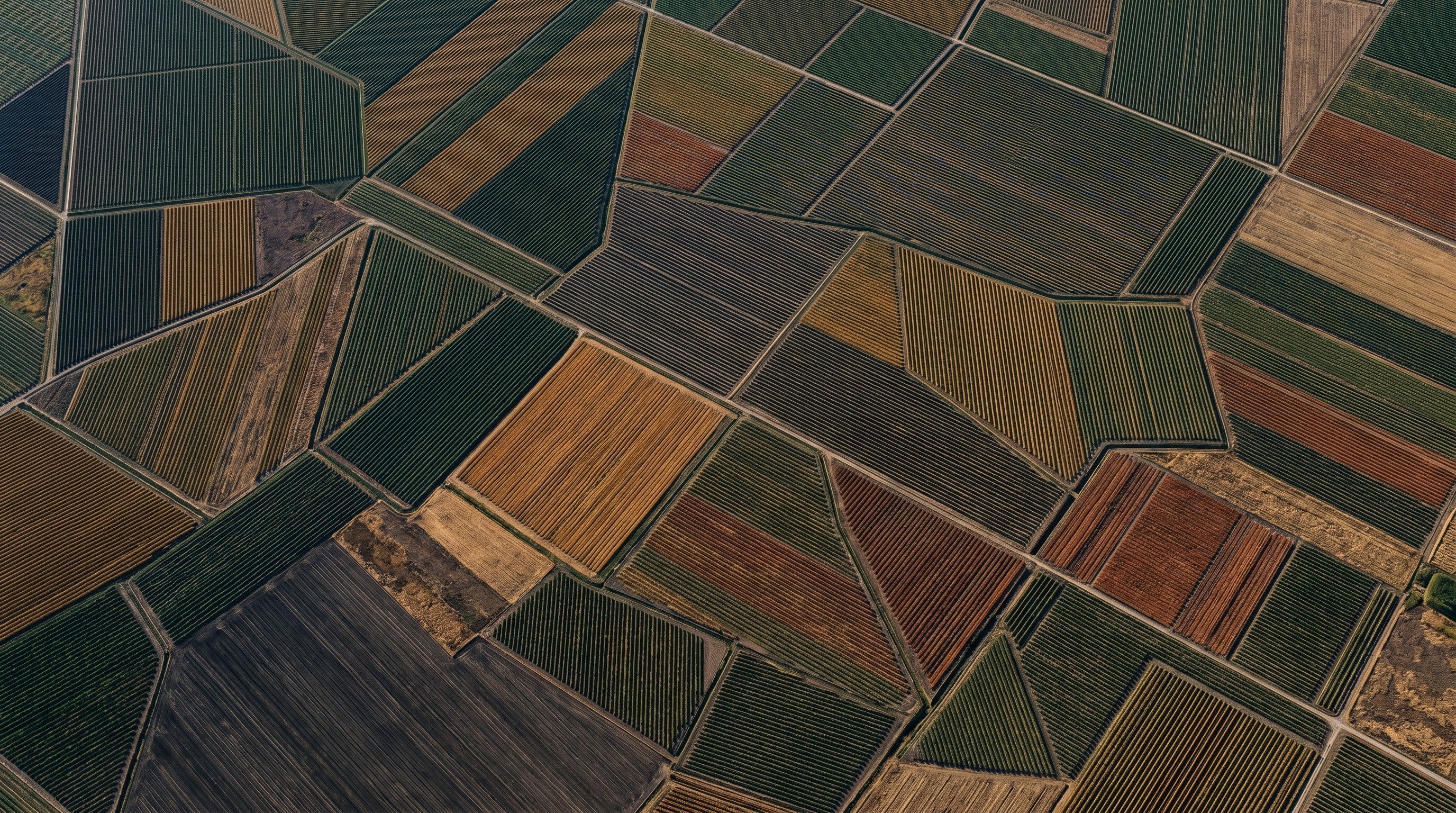 Aerial view of farm