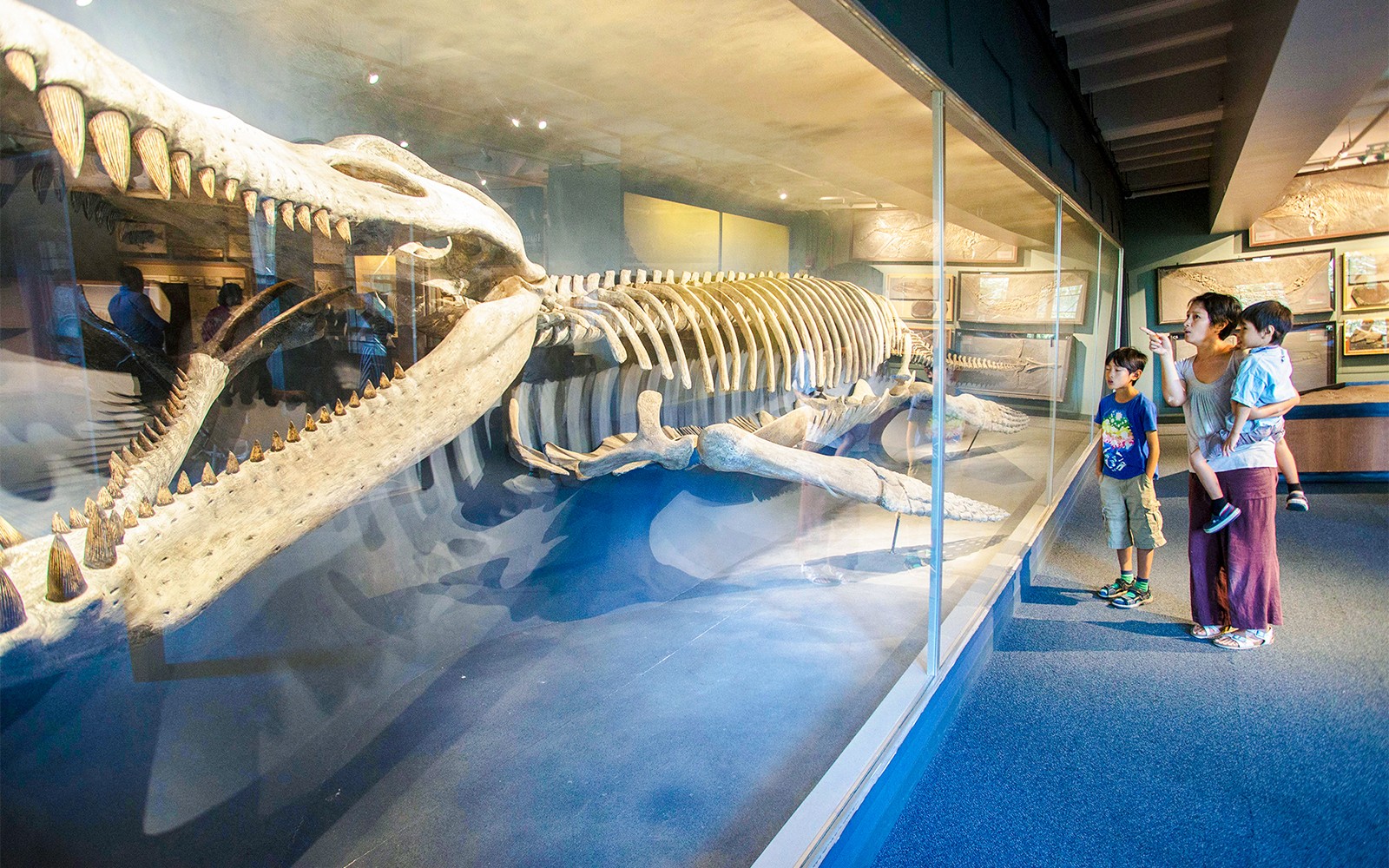 Family observing Kronosaurus skeleton at HMNH, Boston, USA.