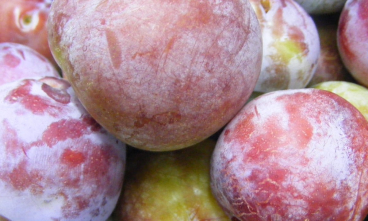 two people looking at a tablet and smiling