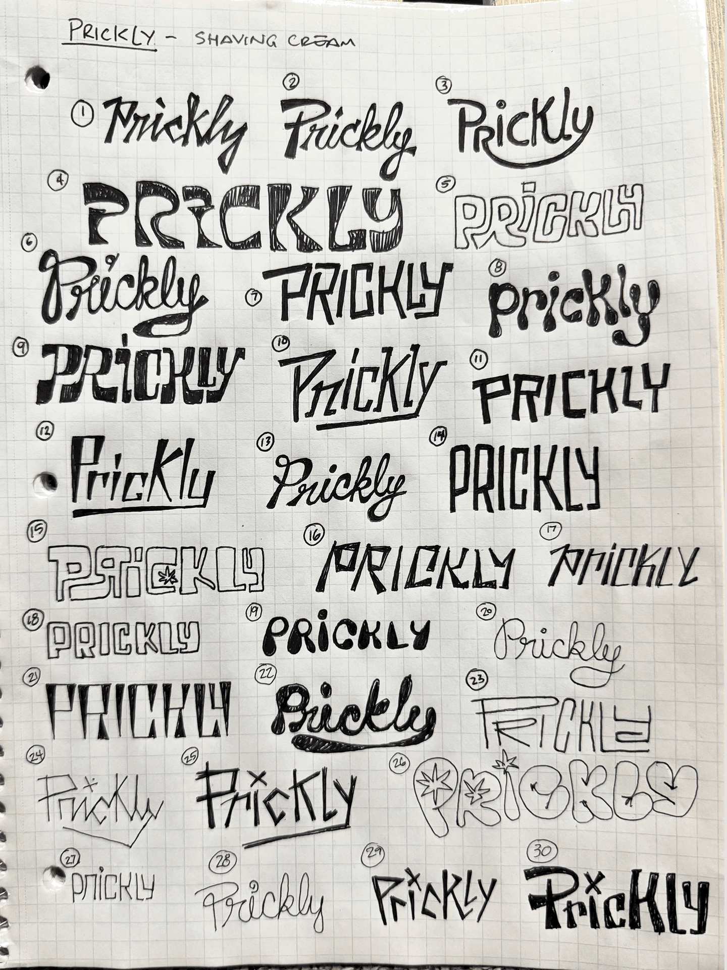 Prickly animated logo, a hand drawn wordmark