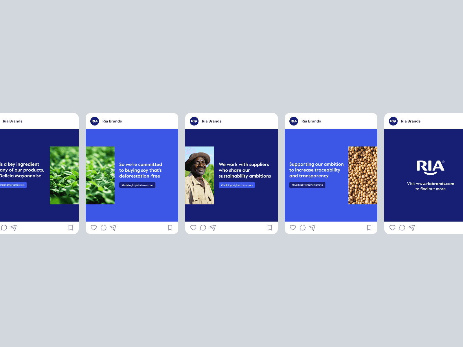 Series of Instagram post mockups featuring sustainability messages, natural imagery, and the RIA logo.
